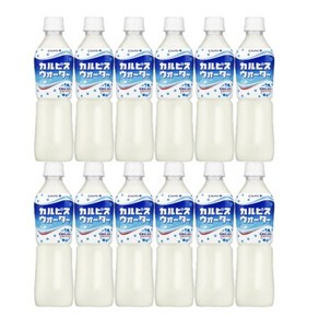 일본 칼피스 워터 500ml 12개