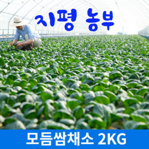 [물맑은 양평] 지평 농부 모듬쌈2kg, 1개