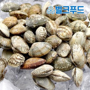 냉동 바지락 5kg 피바지락 업소용 조개 칼국수, 1개