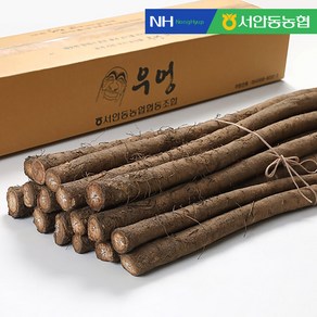 믿고 먹는 서안동농협 국내산 생우엉 (알뜰차용) 2kg