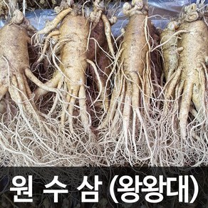 청명네이처 금산인삼 수삼(원수삼) 왕왕대 (750g) (3~4뿌리)