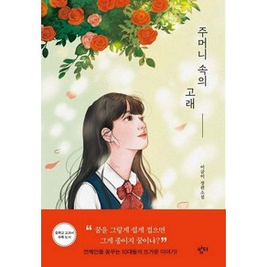 [밤티]주머니 속의 고래 (이금이 장편소설), 밤티, 이금이