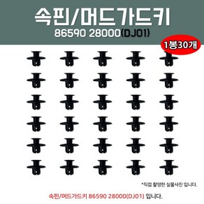 카박사/DJ-01/86590 28000/자동차속핀/내흙받이키/30개/밤바핀/휠가드핀/리테이너 어셈블리 범버커버 마운틴/속키/범버키/범퍼키/속흙받이/휠가이드핀/룸카바키/DJ01, 10개