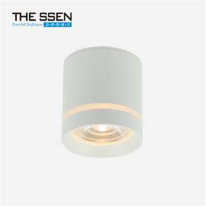 SSEN LED 마샤 3인치 원형 COB 직부 (화이트/블랙), 블랙, 1개