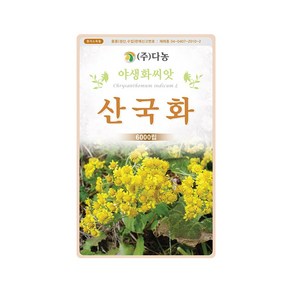 (DN) 산국화 씨앗(6000립)