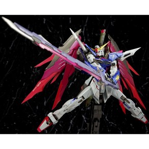 반다이 (BANDAI) METAL BUILD 데스티니 건담 (풀 패키지) (혼 웹 상점 한정), 1개