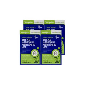 영진약품 혈행건강 비건 초임계 알티지 식물성 오메가3 4박스 4개월분, 4개, 30정