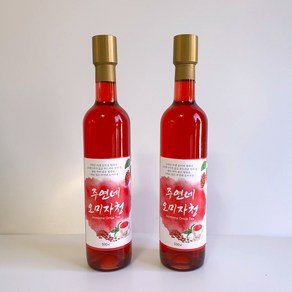 오미자청 1500ml 500ml 750ml 원액 엑기스 오미자차 선물세트 강원도 인제군, 1개, 1개입, 500ml