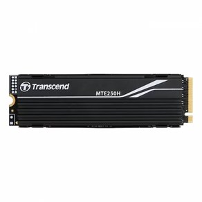 트랜센드 트랜센드 MTE250H M.2 NVMe (4TB)