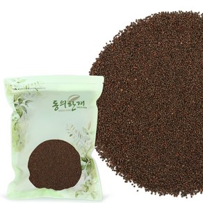 동의한재 국산 자소자 자소엽 차조기 씨앗, 300g, 1개