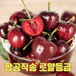 [하루150세트한정] 항공직송 상큼달달 로얄등급 생체리, 1개, 500g (10R)