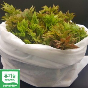 청정숲푸드 특등급 자연산 눈개승마 삼나물, 1박스, 1kg