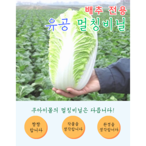 배추 전용 유공 구멍 뚫린 멀칭 비닐, 1개, 0.015x100x500 투명2구 간격48x48지그재그