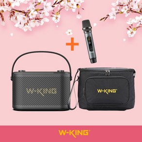 W-KING Camigo H10S 버스킹 악기연주 노래방 캠핑 휴대용 블루투스 스피커 무선마이크포함, 스피커 단품 (마이크포함) + 전용가방