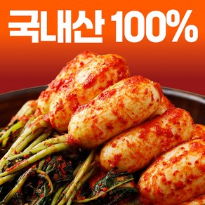 우연팜 국내산 재료 100% 여수 (총각김치) 감칠맛이 일품 당일제조, 1박스, 3kg