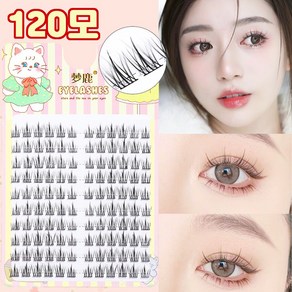 데일리 요정 가닥 인조 속눈썹 자연스러운 연장 10+11+12mm 10줄 120가닥 블랙 C라인