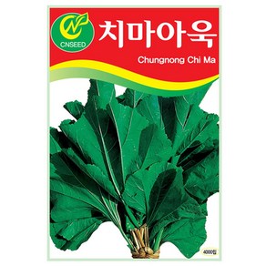 청농 치마 아욱씨앗 4000립 다수확 아욱씨 종자 키우기, 1개