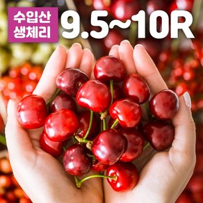 프리미엄 항공직송 칠레산 체리 미국산 생체리 워싱턴 캘리포니아 생과 제철 과일 500g 1kg 2kg 4kg, 1개