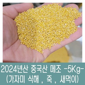 [다온농산] 수입 중국산 메조/메좁쌀 특품 -5Kg- 새먹이 죽 가자미식해, 1개