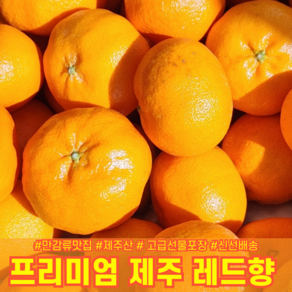 [다정한과일] 프리미엄 제주 레드향 가정용/선물용 (보자기포장), 1박스, 2kg 가정용 중소과