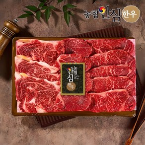 [농협안심한우] 1등급이상 한우 구이 선물세트, 1세트, 구이1호(등심600g+안심300g+채끝300g), 1.2kg