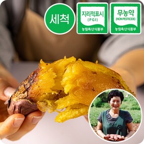 초록미소 해남 친환경 무농약 인증 세척 베니하루카 꿀고구마, 5kg(한입), 1개