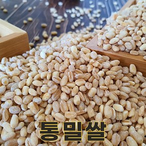 전남 장흥 24년산 국산 통밀 통밀쌀 4kg 통밀밥, 1개