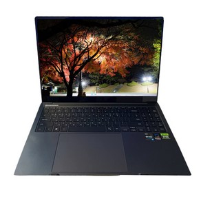 삼성 갤럭시북4 울트라 NT961XGL-X9PRO 24년형 Ulta 9 램64G SSD 1TB 40.6cm RTX4070 Win11Po 터치스크린 영상편집 기업용 연구용, WIN11 Po, 64GB, 1024GB, 문스톤 그레이