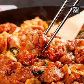 참다른 냉동 순살 춘천닭갈비 500g x 2팩