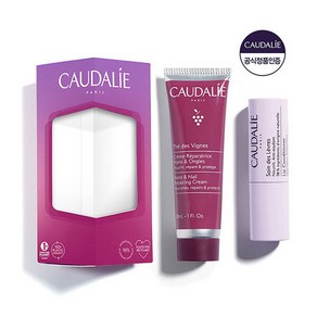 꼬달리(화장품) 머스크향꼬달리 핸드립 듀오 테 드 비뉴 (핸드크림30ml+립컨, 1개