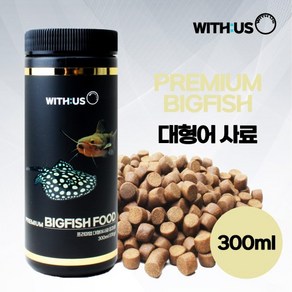 위더스 프리미엄 빅피쉬 300ml(170g) 300g / 중대형 열대어 사료 먹이 밥 침강성 가오리 캣피쉬 아로와나, 1개