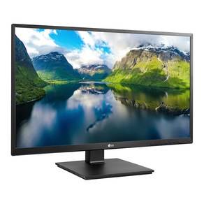 LG전자 27BK550Y 27인치 IPS LED 피벗/틸트/높낮이/스피커 내장 모니터, 68.6cm