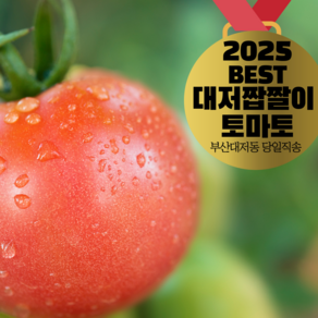 [30년째농사 부산 대저동 산지직송] 대저 짭짤이 토마토 S~2S 1키로 2.5키로 대저토마토 M L 2.5키로, 1박스, 대저짭짤이토마토 1키로(M)