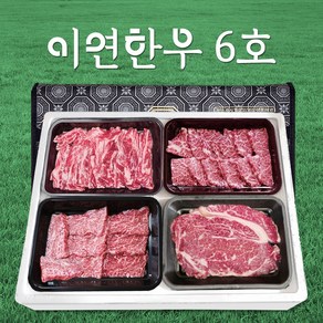 이연한우 1등급 한우 소고기 선물세트 6호 등심 갈비 살치 채끝, 1.2kg, 1개