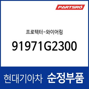 프로텍터-와이어링 (91971G2300), 1개