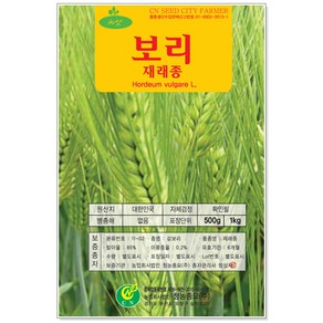 재배용 청보리 씨앗 500g 1kg