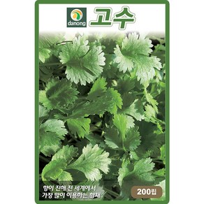 다농 고수 씨앗 200립, 1개