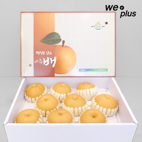 나주 햇배 원황배 신고배 배 특품 선물용, 8-10과, 1개, 5kg