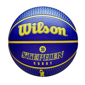 Wilson 농구공 NBA TEAM 시리즈, WZ4006101XB7