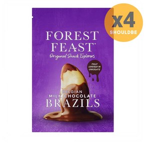 Foest Feast Belgian Milk Chocolate Bazils 120g, 4개