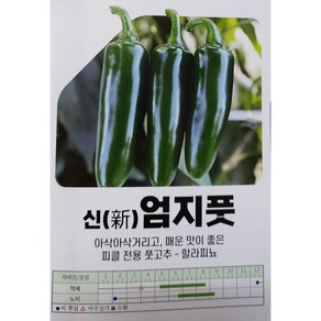 아시아종묘 씨앗 고추 신엄지풋고추 100립, 1개