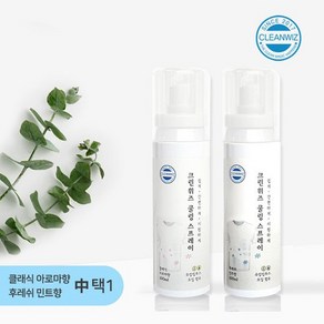 크린위즈 뿌리는 에어컨 발냄새 땀냄새 제거 야외활동 시원한 냉감 옷에 아이스 쿨링 스프레이, 1개