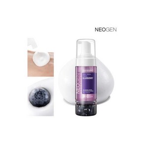 (10%쿠폰) 리얼 블루베리 폼클렌징 160g (저자극 모공케어 피지감소 클렌징폼), 1개