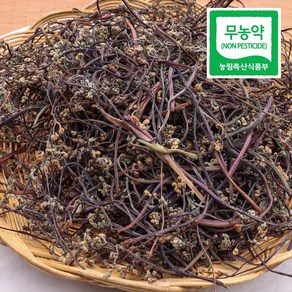 남해 친환경 무농약 창선 건고사리 나물 햇 말린 육개장 고사리, 100g, 1개, 100g