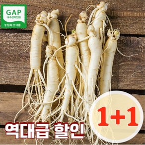 [1+1] 1키로 금산 인삼 5~6년근 가정용 못난이 난발삼 원수삼 파삼 막삼, 세척/원수삼375g, 1개, 750g