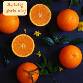 제주 천혜향 산지직송 고당도 프리미엄 선물세트 13bix 이상 당도선별, 가정용, 1개, 2kg(레드향)