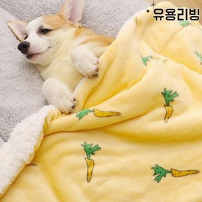 겨울 강아지 고양이 이불 양털 극세사 블랭킷 담요