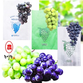 과수 봉투 핀포함 사과 배 2중 봉지 복숭아 포도 켐벨 거봉 샤인머스켓 1중지 100장, 포도봉지 1중지 (100장), 1개