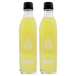 오카바야시농원 포멜로 시럽, 2개, 300ml