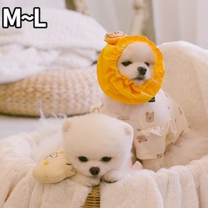 강아지 방수 수영모 목욕샤워 레인 모자 귀보호 오드펫 또또또 방수 헤어밴드 블루 M, 오렌지, 1개